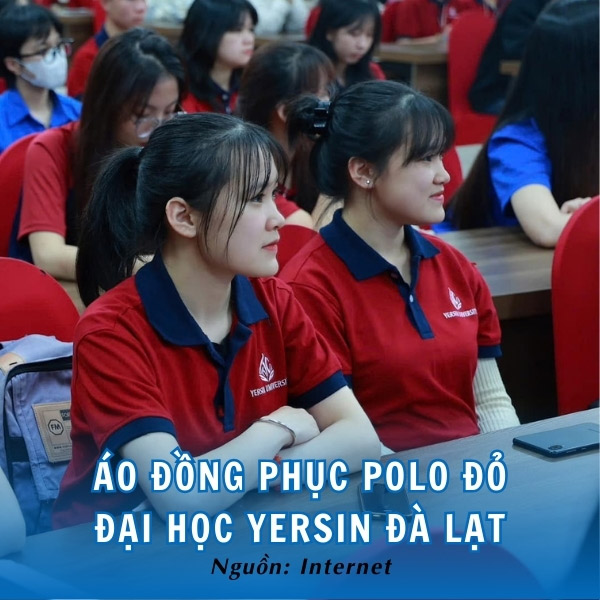 Áo đồng phục polo đỏ Đại học Yersin Đà Lạt ấn tượng