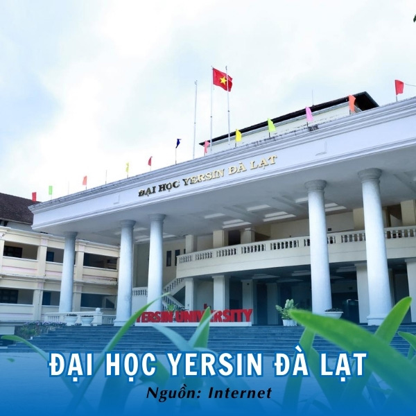 Đại học Yersin Đà Lạt - Cơ sở đào tạo uy tín tại khu vực Tây Nguyên