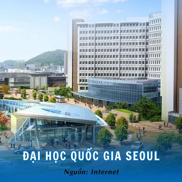 Đại học Quốc gia Seoul - Đại học số 1 Hàn Quốc