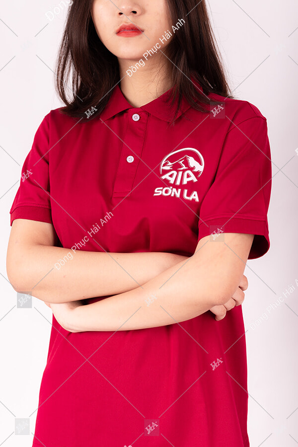 Áo Thun Đồng Phục Công Ty AIA Sơn La - Ảnh 2