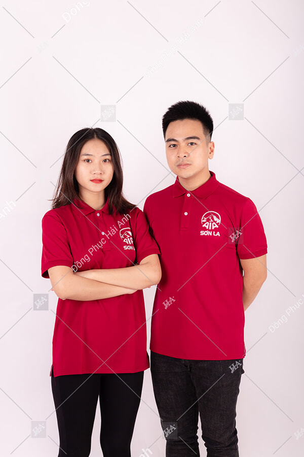 Áo Thun Đồng Phục Công Ty AIA Sơn La