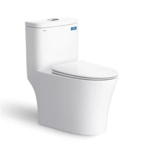 Bồn cầu 1 khối Viglacera V63