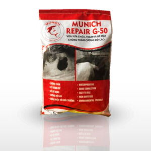 Vữa sửa chữa trám Munich Repair G-50